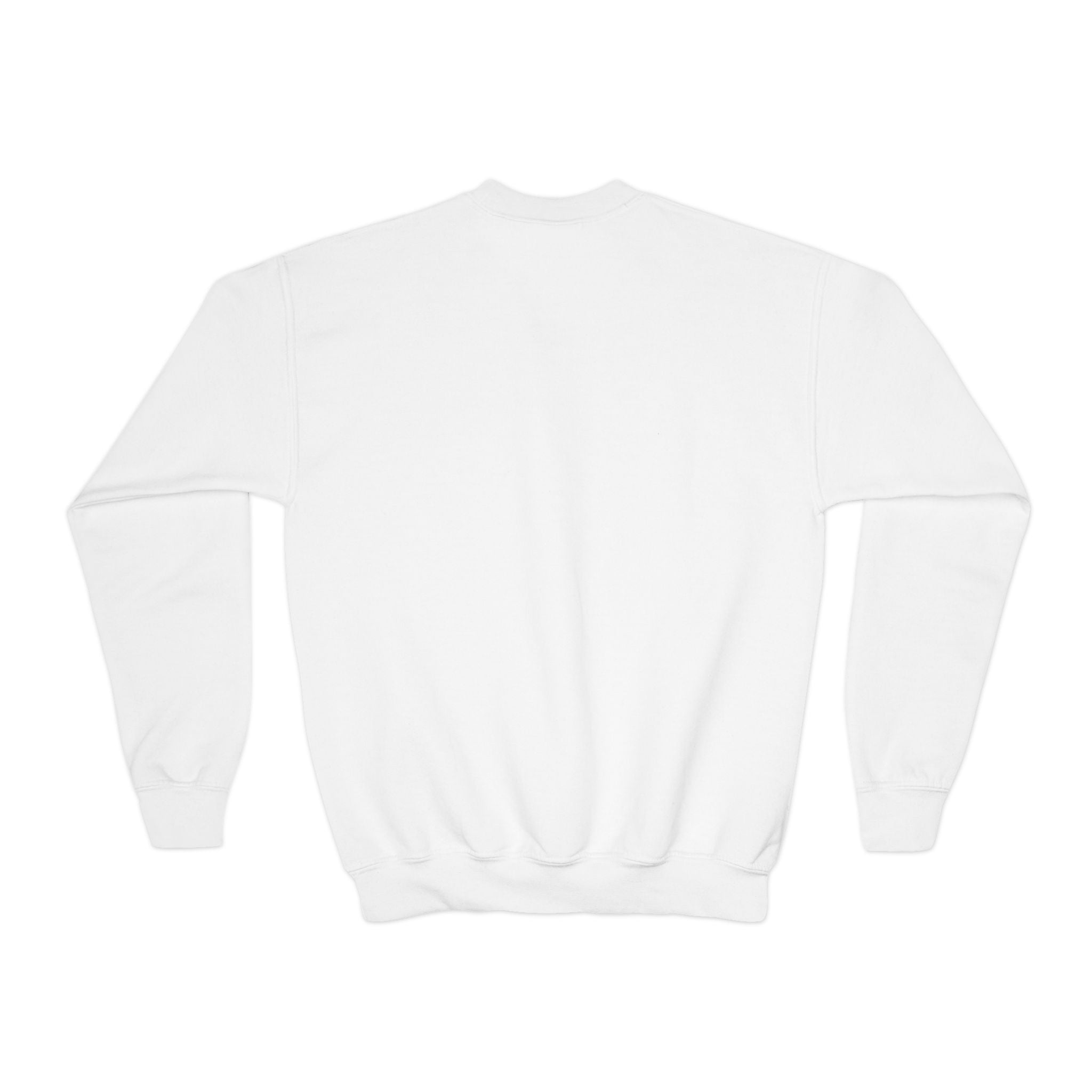 Youth Crewneck Sweatshirt with 'Go Badgers' Design - Fun, Comfortable, Perfect for Game Day, School Spirit, Youth Apparel, Sports Fans