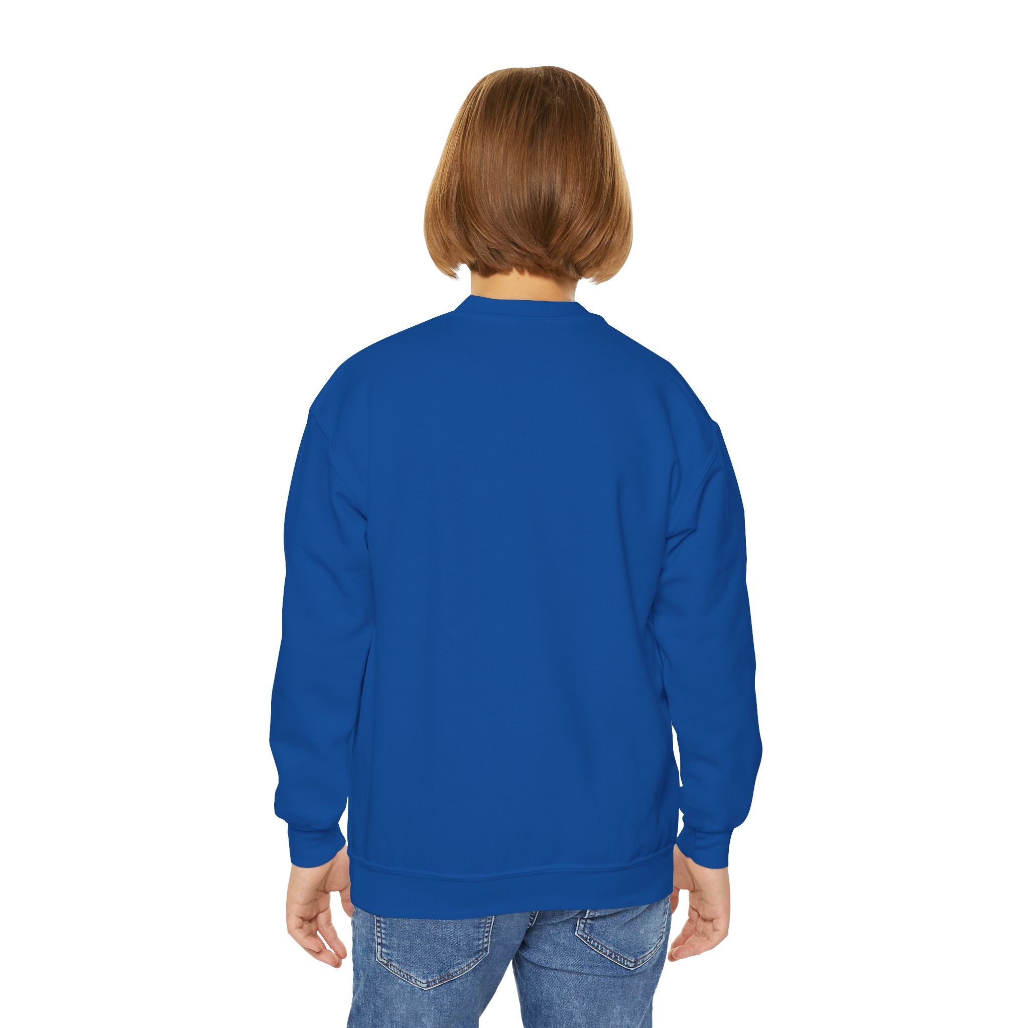 Youth Crewneck Sweatshirt, Cozy Spirit Wear, Badger Blue Sweatshirt, Youth Athletic Apparel, Fun School Spirit Clothing, Ideal Gift for Kids