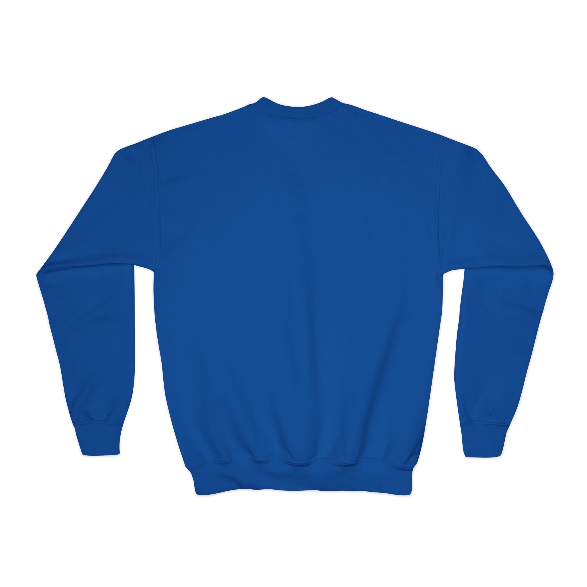 Youth Crewneck Sweatshirt, Cozy Spirit Wear, Badger Blue Sweatshirt, Youth Athletic Apparel, Fun School Spirit Clothing, Ideal Gift for Kids