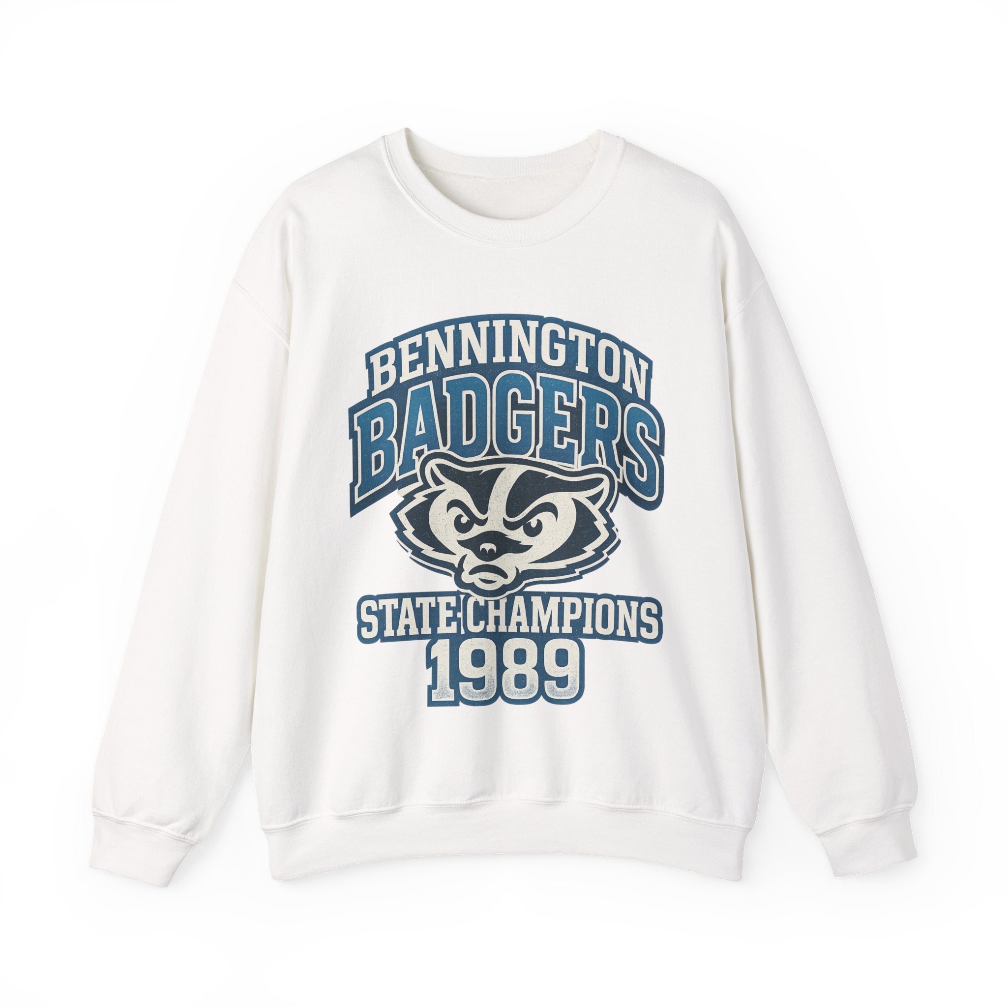 Vintage Badgers Crewneck Sweatshirt, Unisex Retro Sport Sweatshirt, College Team Apparel, State Champions Sweatshirt, Gift for Sports Fans
