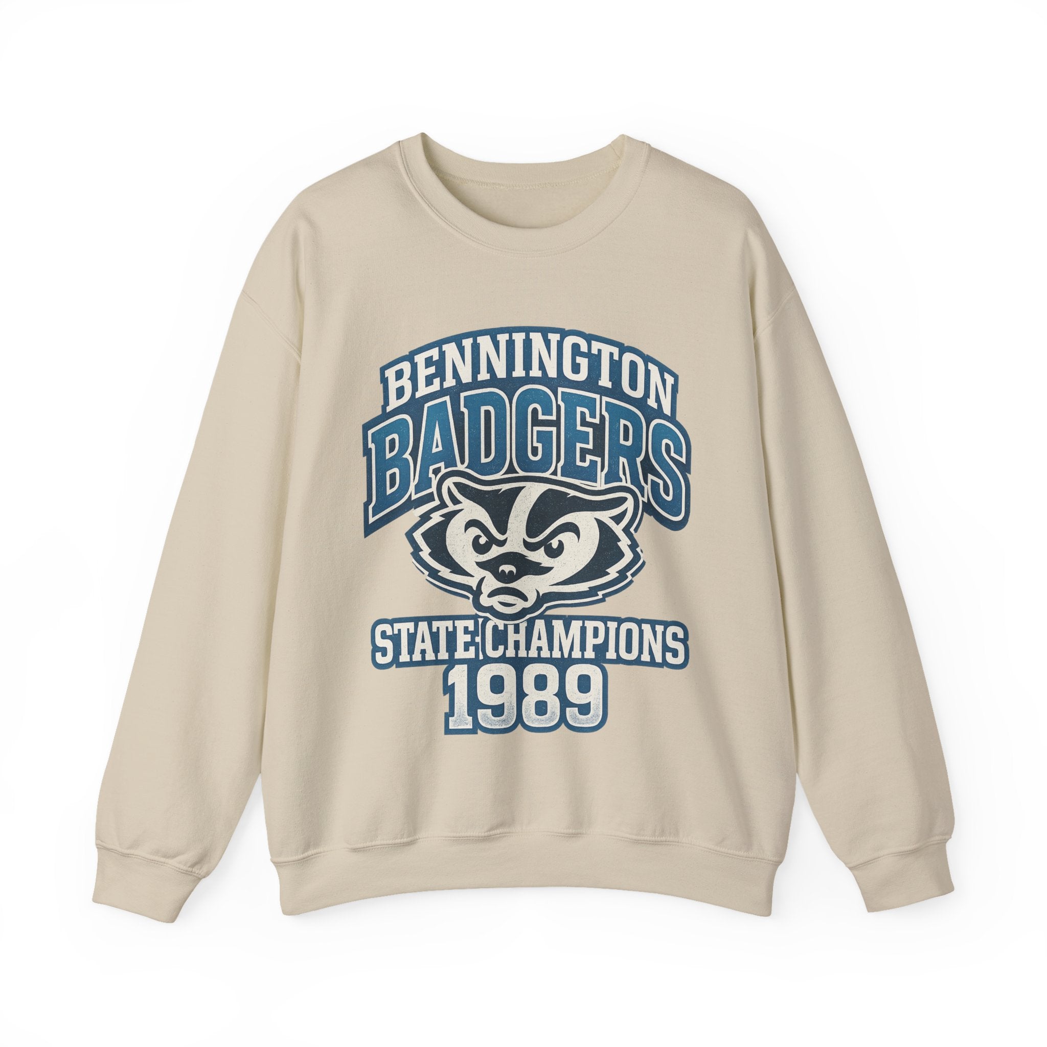Vintage Badgers Crewneck Sweatshirt, Unisex Retro Sport Sweatshirt, College Team Apparel, State Champions Sweatshirt, Gift for Sports Fans
